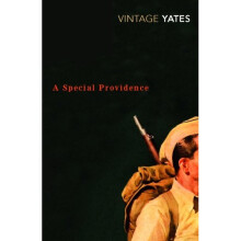 A Special Providence (Vintage Classics)