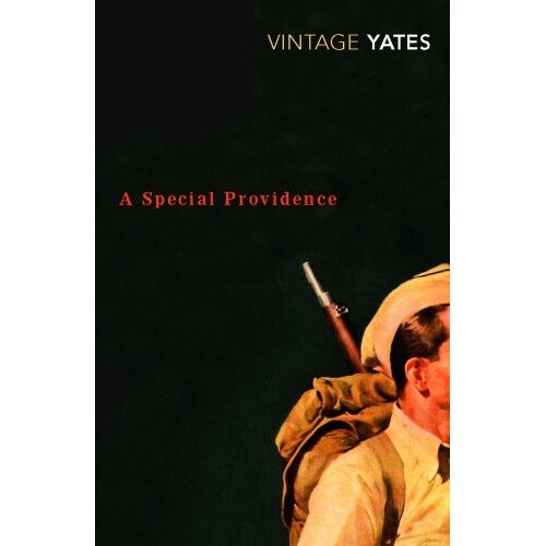 A Special Providence (Vintage Classics)