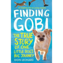 Finding Gobi (Younger Readers edition): The true story of one little dog's big journey