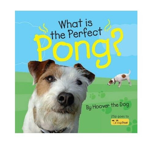 What is the Perfect Pong?