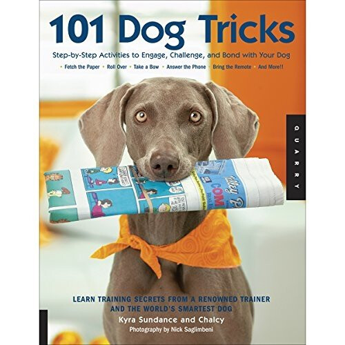 101 Dog Tricks: Step-by-step Activities to Engage, Challenge, and Bond with Your Dog