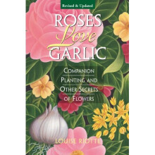 Roses Love Garlic: Secrets of Companion Planting with Flowers