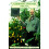 GARDENING INDOORS WITH CO2 1