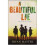 A Beautiful Lie 1