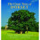 The Great Trees of Dorset 1