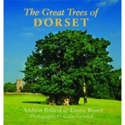 The Great Trees of Dorset