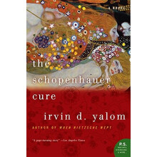 The Schopenhauer Cure