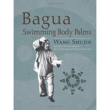 Bagua Swimming Body Palms