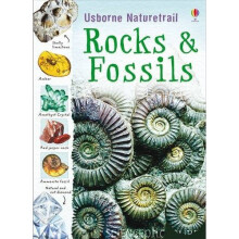 Naturetrails: Rocks and Fossils (Usborne Nature Trail)