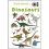 Mad About Dinosaurs (Ladybird Minis) 1