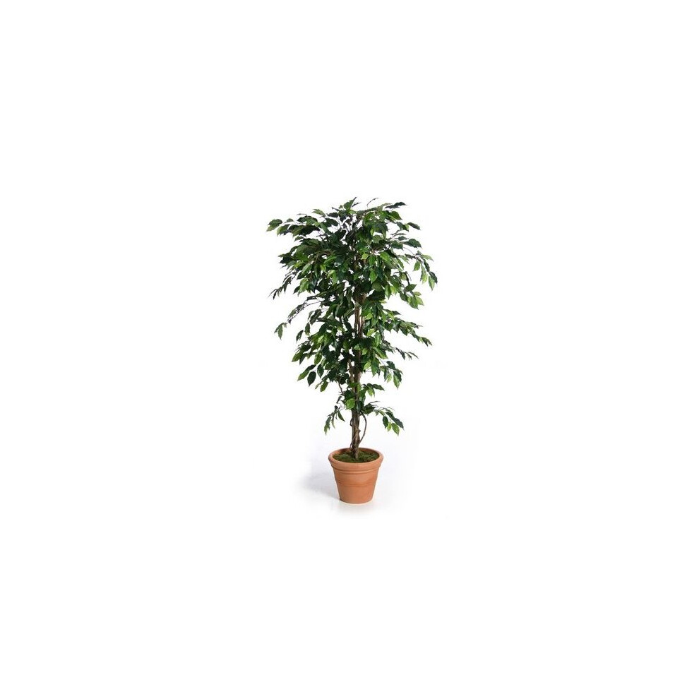 (Green, 210cm) Artificial Silk Fat Ficus Tree