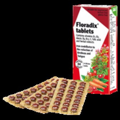 Floradix - Tablets Iron and Vitamin 84 Vtabs