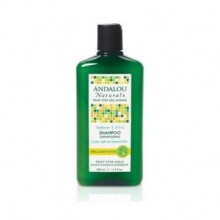Andalou Naturals, Shampoo, Brillianter Glanz, Für Stärke und Vitalität, Sonnenblume & Zitrus, 11,5 fl oz (340 ml)