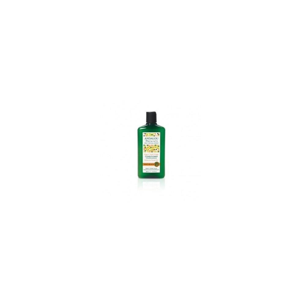 Andalou - Argan & Sweet Orange Moisture Rich Conditioner