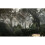 Call of Duty Ghosts PS3 4