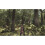 Arcania Gothic 4 Xbox 360 Game 5