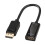 Lindy 41718 Passive video converter video converter 1