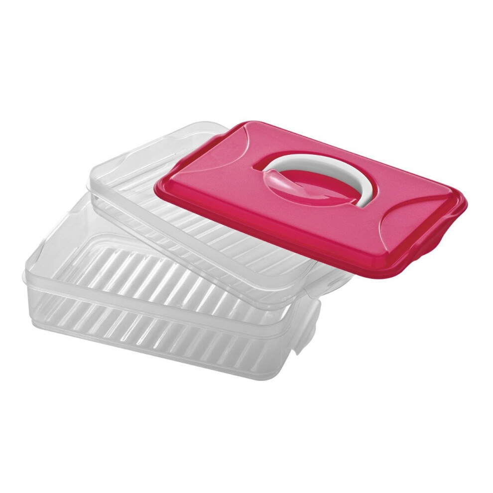 2 Layer Food Container With Carry Handle, Hot Pink