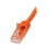 StarTech.com StarTech.com Cat6 Patch Cable with Snagless RJ45 Connectors - 10 m, Orange 2