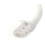 StarTech.com Cable de red STARTECH Cat6 Gigabit - 3 m 2