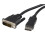 StarTech.com StarTech.com 6 ft DisplayPort to DVI Video Converter Cable - M/M 1