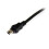 StarTech.com StarTech.com 6 ft USB Y Cable for External Hard Drive - USB A to mini B 2