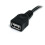 StarTech.com StarTech.com 10 ft Black USB 2.0 Extension Cable A to A - M/F 2