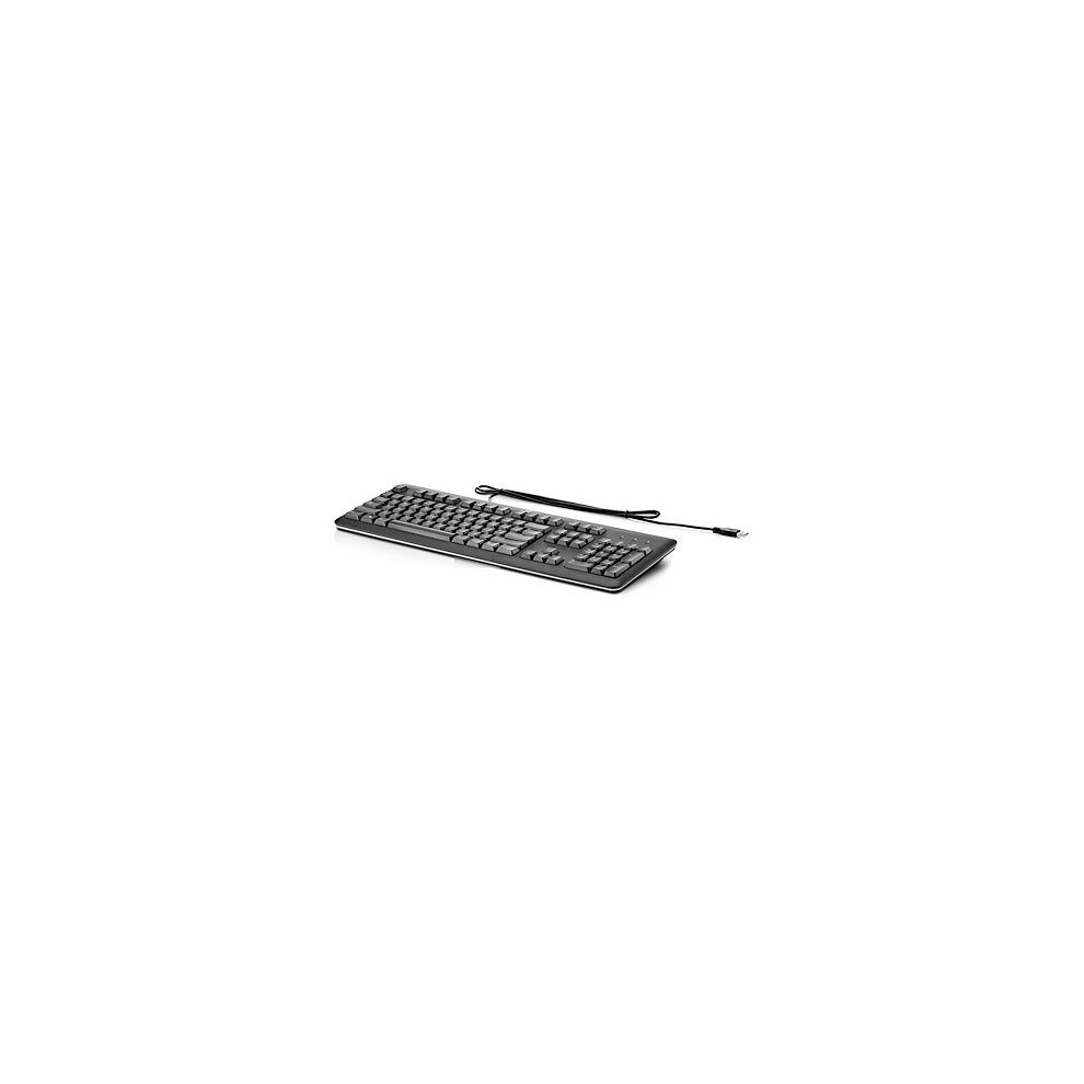 HP USB Keyboard for PC USB QWERTY Black keyboard