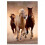 Clementoni Jigsaw Puzzle - 1000 Pieces - Wild Horses Galloping 1