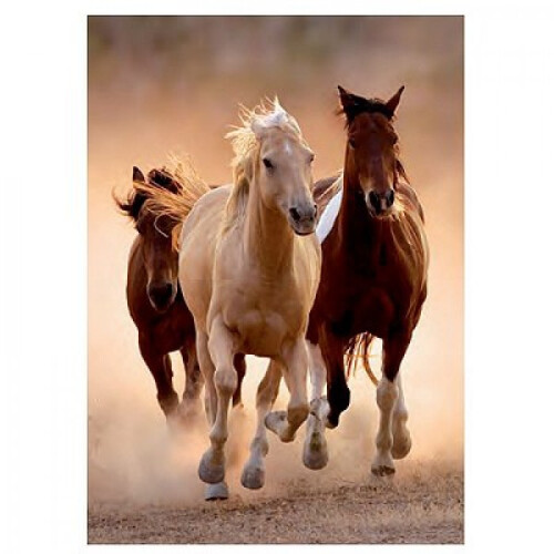 Clementoni Jigsaw Puzzle - 1000 Pieces - Wild Horses Galloping