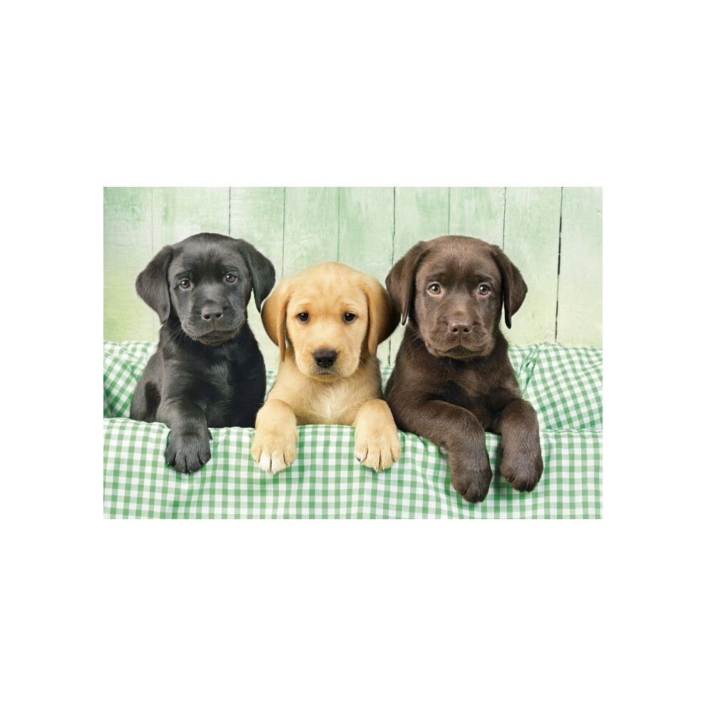 New Clementoni Labradors Size 15