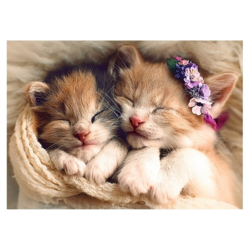 Trefl 500 Piece Jigsaw Puzzles Sleeping Kittens Animals