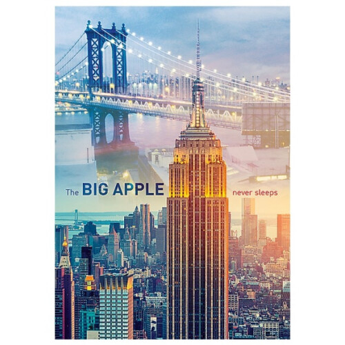 Trefl 1000 Piece Jigsaw Puzzle New York at Dawn