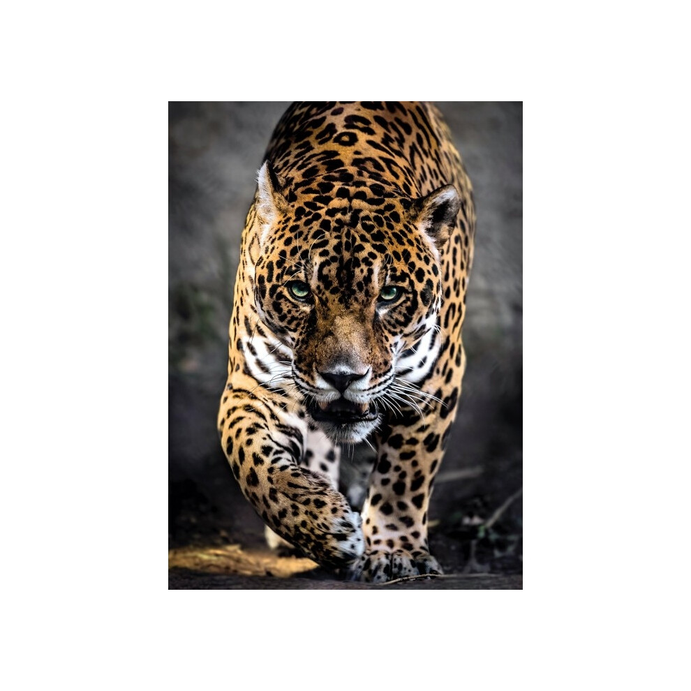 New Clementoni Jaguar