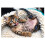 Trefl 1000 Piece Jigsaw Puzzle Cheerful Kitten 1