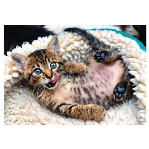 Trefl 1000 Piece Jigsaw Puzzle Cheerful Kitten