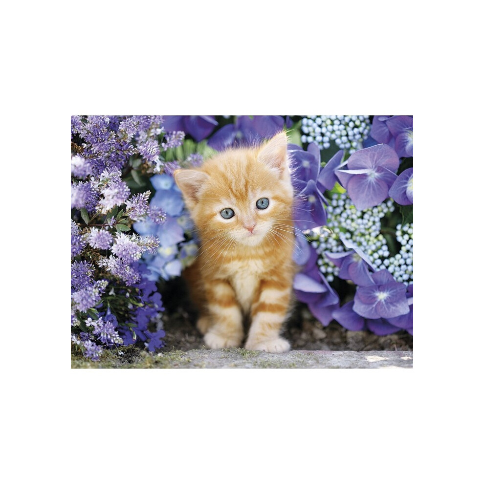 Cat in Flowers