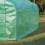 Outsunny (4m) Outsunny Walk-In Polytunnel Greenhouse With Windows 8