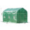 Outsunny (3m) Outsunny Walk-In Polytunnel Greenhouse With Windows 2