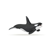 Papo - h?ndmalet - figur - Marine Life - Killer Whale Figure-56000 - Samlerobjekt - Til b?rn - Velegnet til drenge og piger - Fra 3 ?r