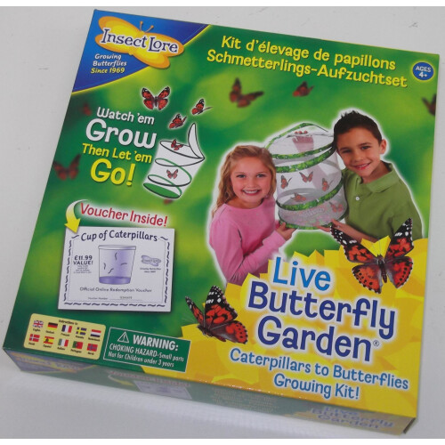 Live Butterfly Garden - Butterfly Breeding Kit