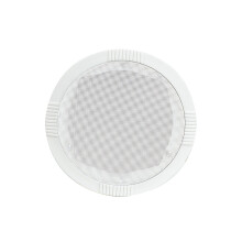 Ceiling Speaker