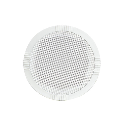Ceiling Speaker