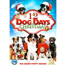 12 Dog Days Till Christmas [DVD] [DVD]