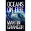 Oceans on Fire: A fast-moving action adventure set on the high seas 1