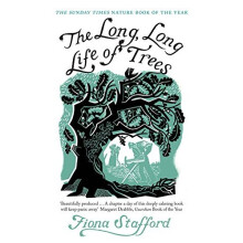 The Long, Long Life of Trees