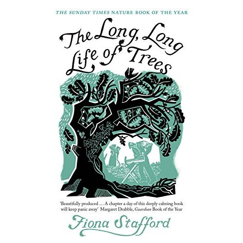 The Long, Long Life of Trees