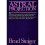 Astral Projection 1