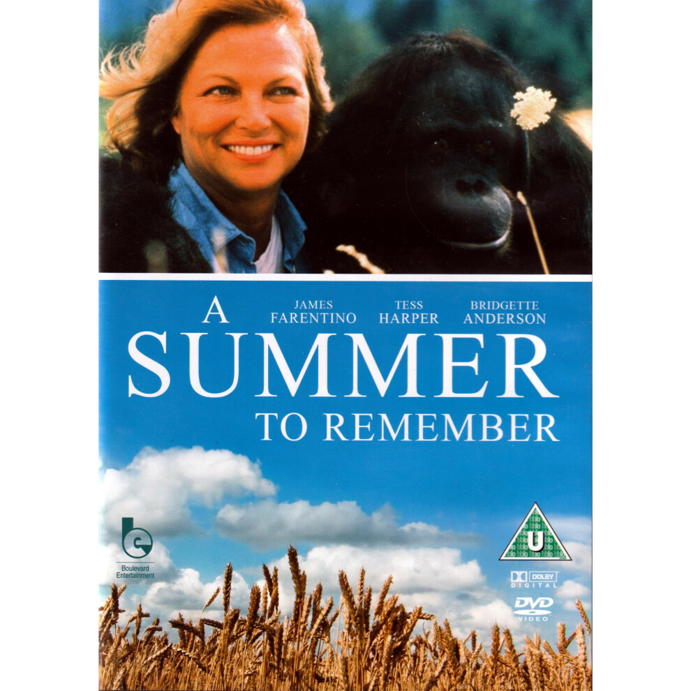 Boulevard A Summer To Remember