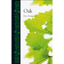 Oak (Botanical) (Botanical (Reaktion))
